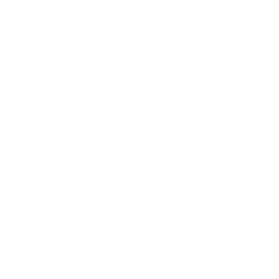 ce logo Renton
