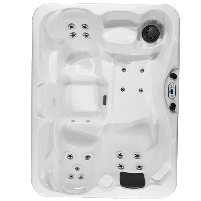 Kona PZ-519L hot tubs for sale in Renton